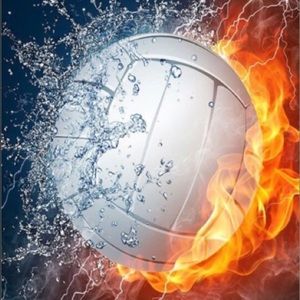 Meet your Posher, Scoute